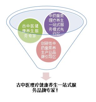 中医理疗养生连锁项目商业计划书参考模板