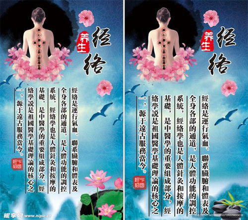 经络养生 减肥 理疗 保健设计图